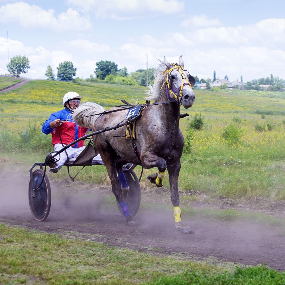 Photograph by Вячеслав Кровопусков