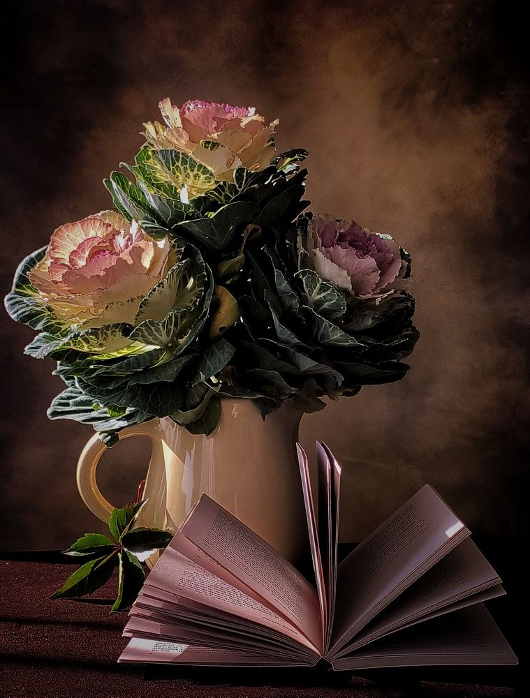 Photograph by Александра