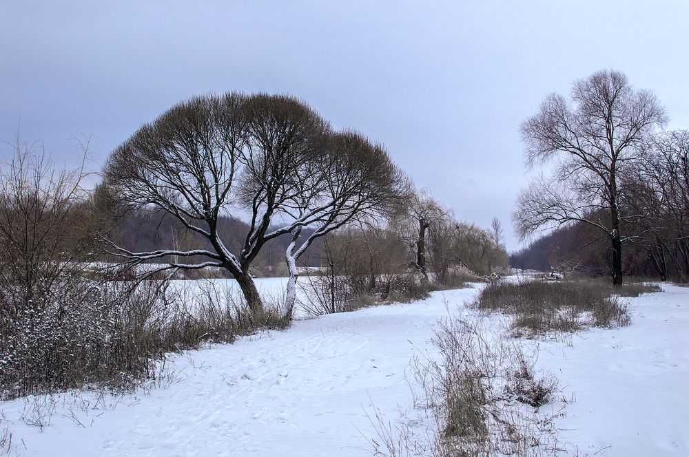 Photograph by Светлана Мельник