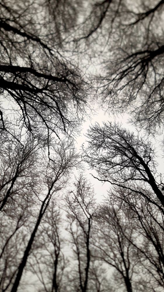 Photograph by Дарья