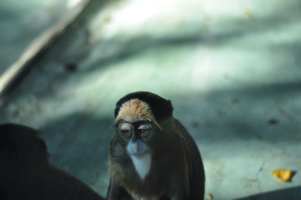 Фотография автора Кристина Киселёва