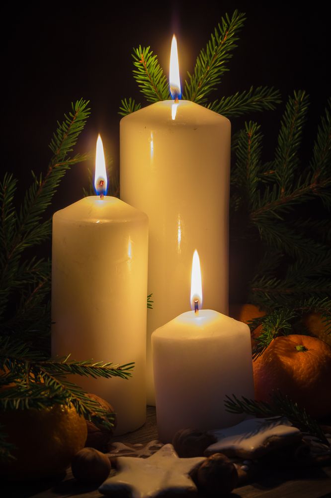 Photograph by Хвойнова Елена