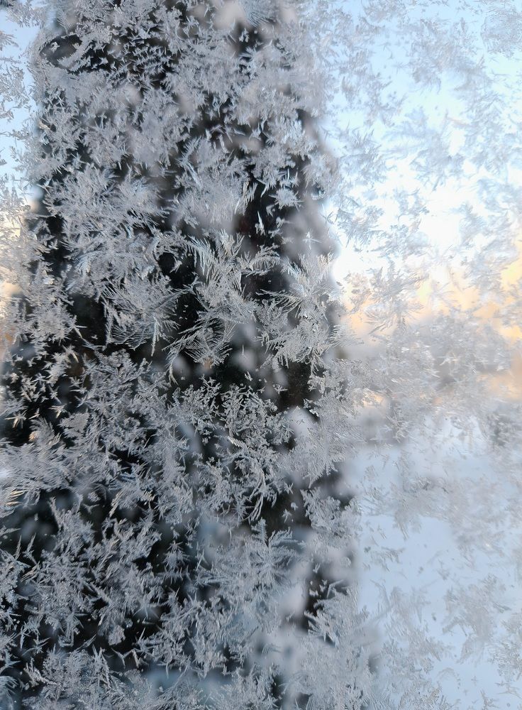 Photograph by Лидия