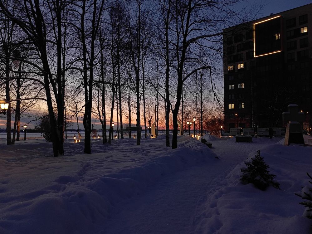 Photo #10095042