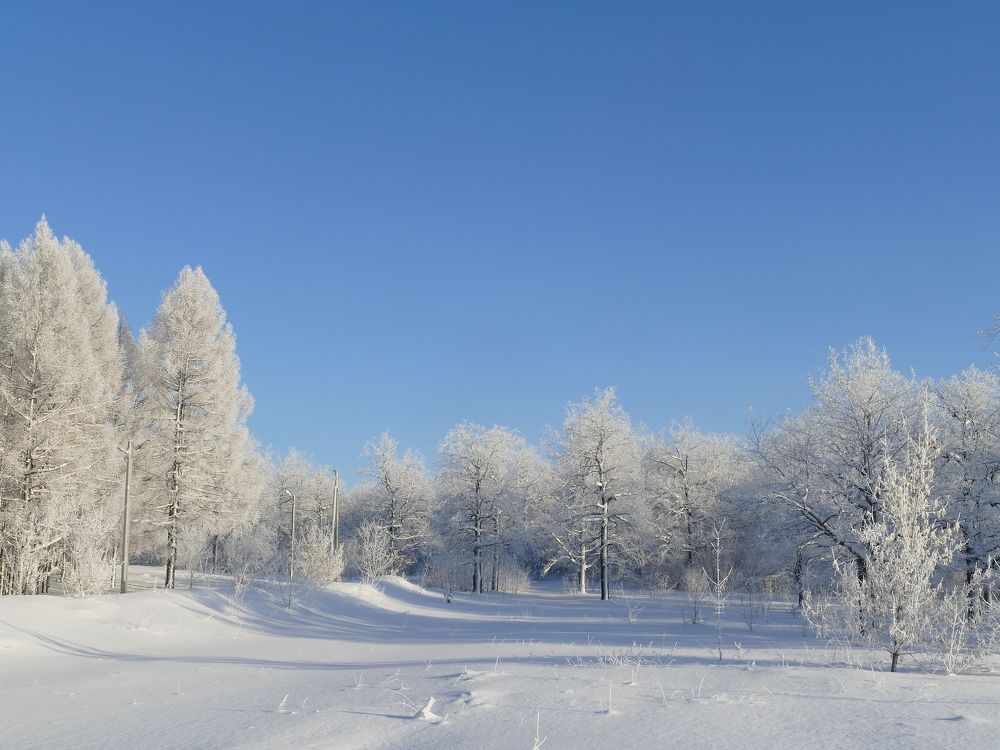 Photograph by Александр Кизим