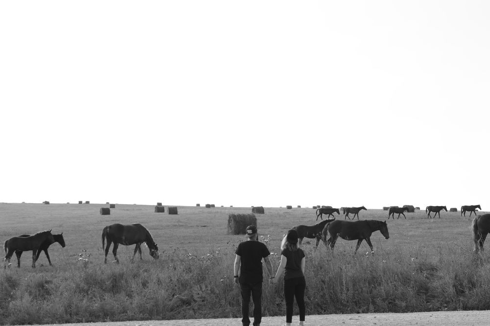 Фотография автора Шамиль