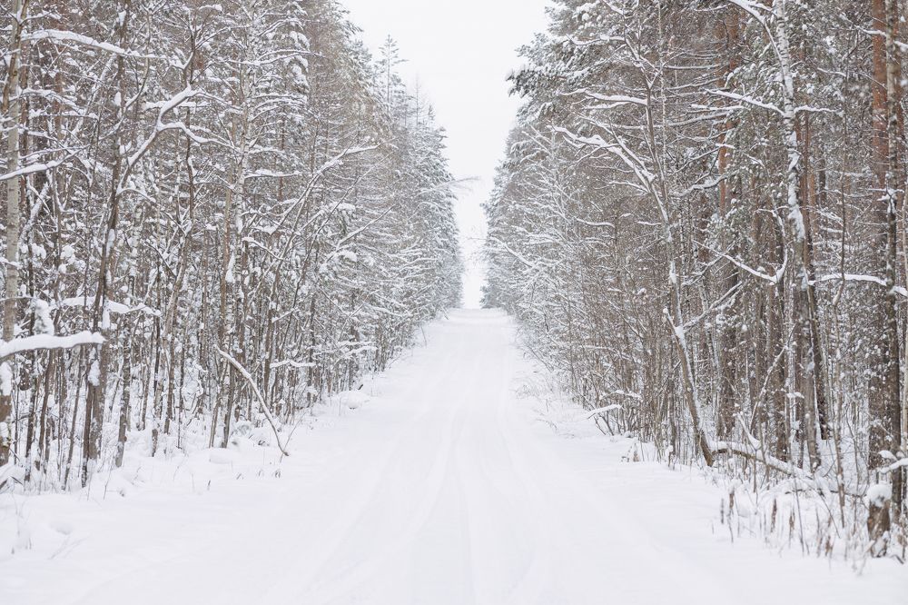 Photograph by Дмитрий Бровко