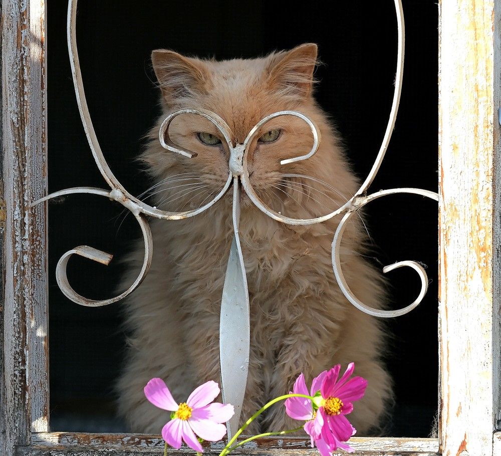 Photograph by Светлана Юрьевна Елагина