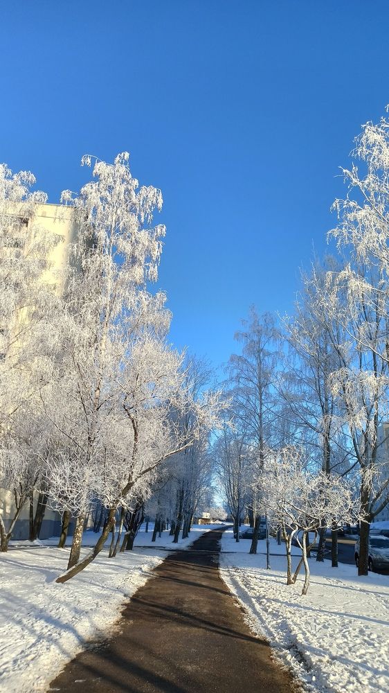 Photograph by Людмила Щуцкая