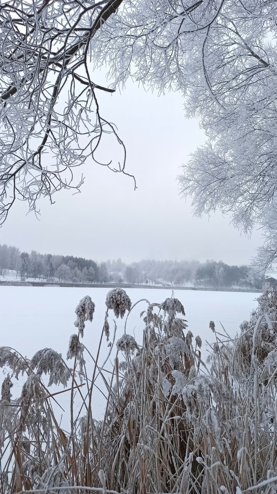 Photograph by Людмила Щуцкая