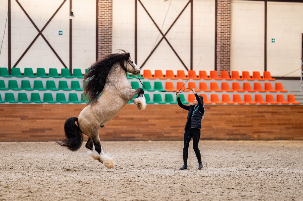 Photograph by Иван Грачев