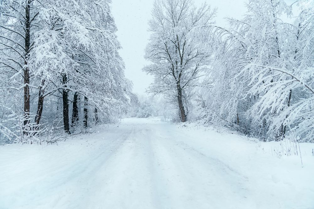 Photograph by Мария Купревич