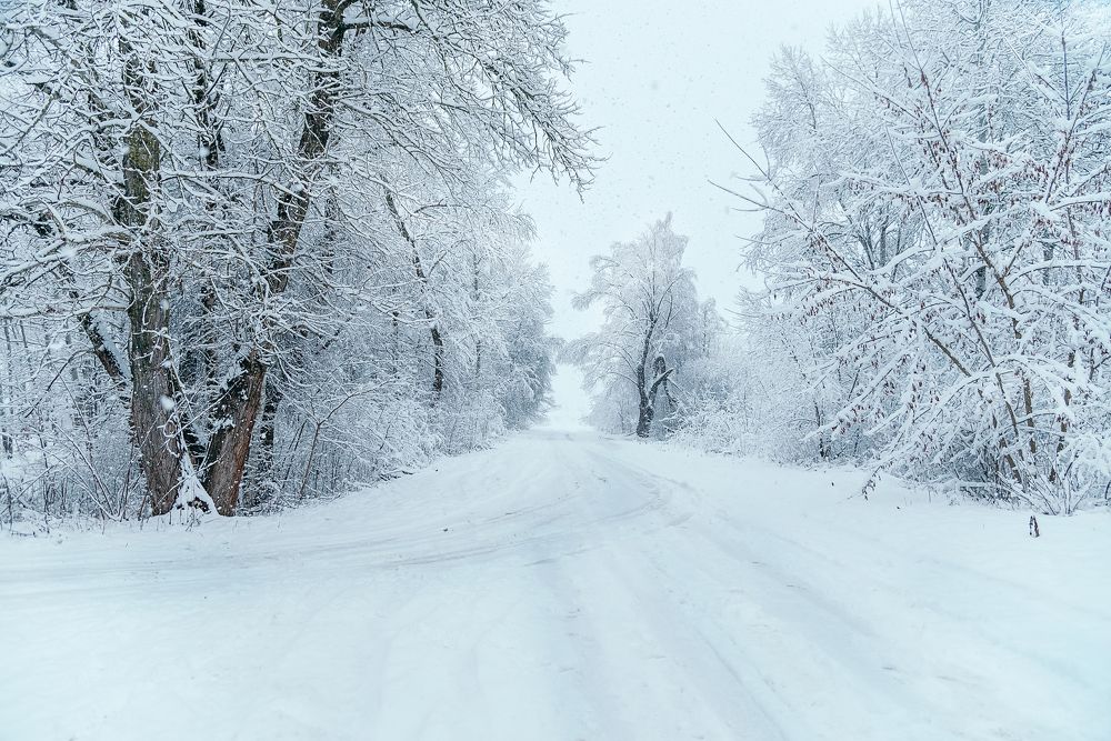 Photograph by Мария Купревич