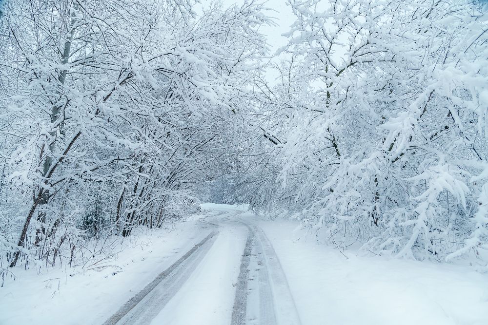 Photograph by Мария Купревич