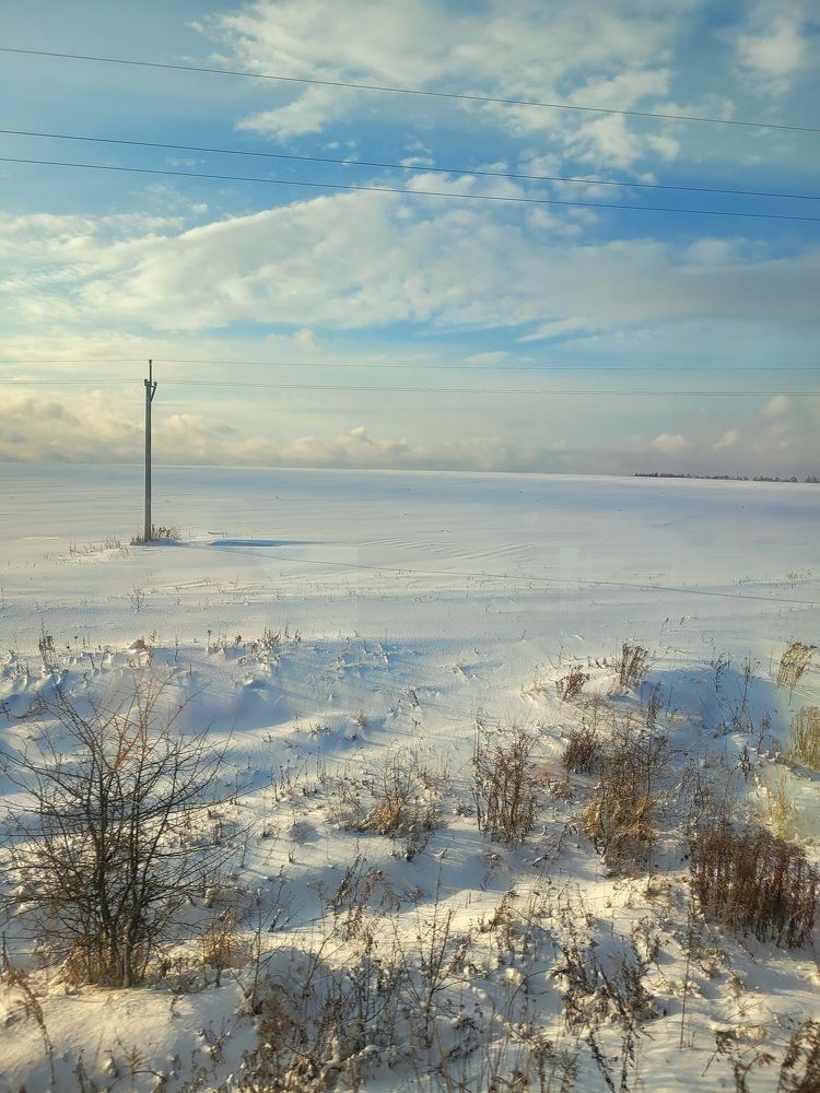 Дорога домой. Поезд Пенза-Минск