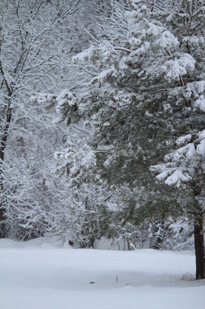 Photograph by Карина Кириченко