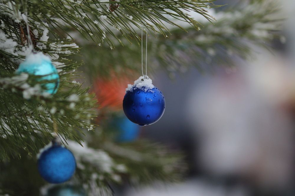 Photograph by Карина Кириченко