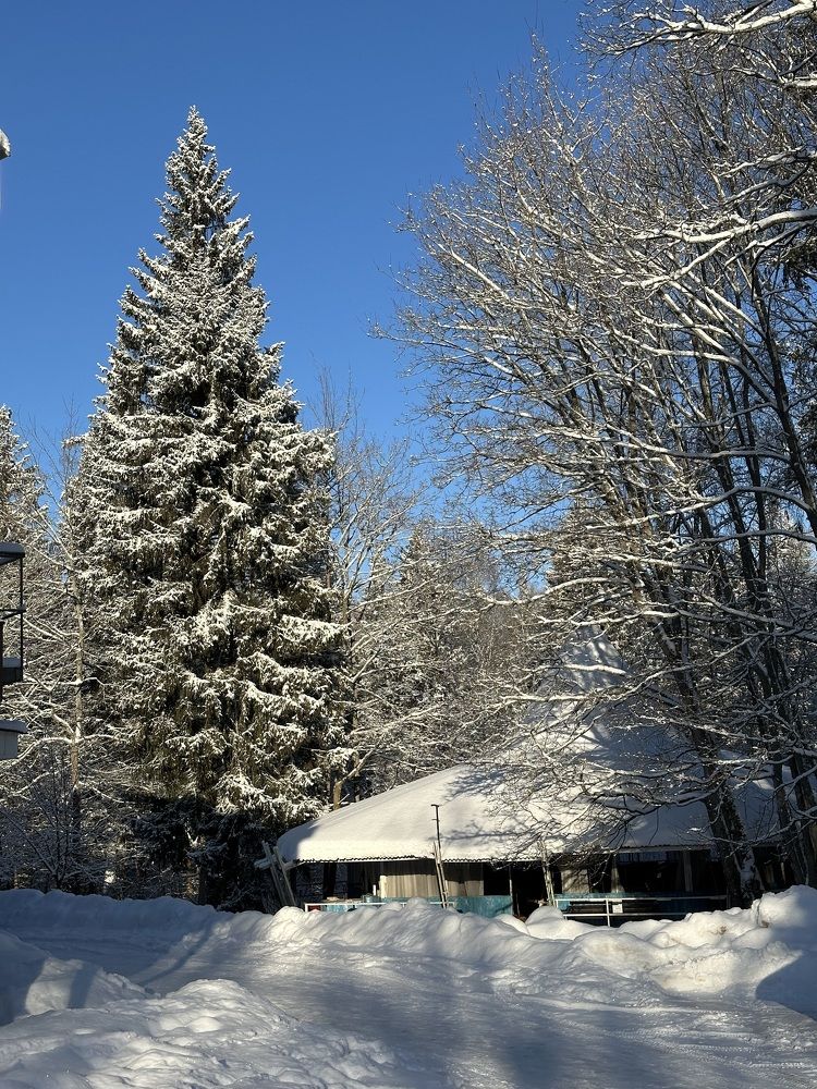 Photograph by Фролкина Рената