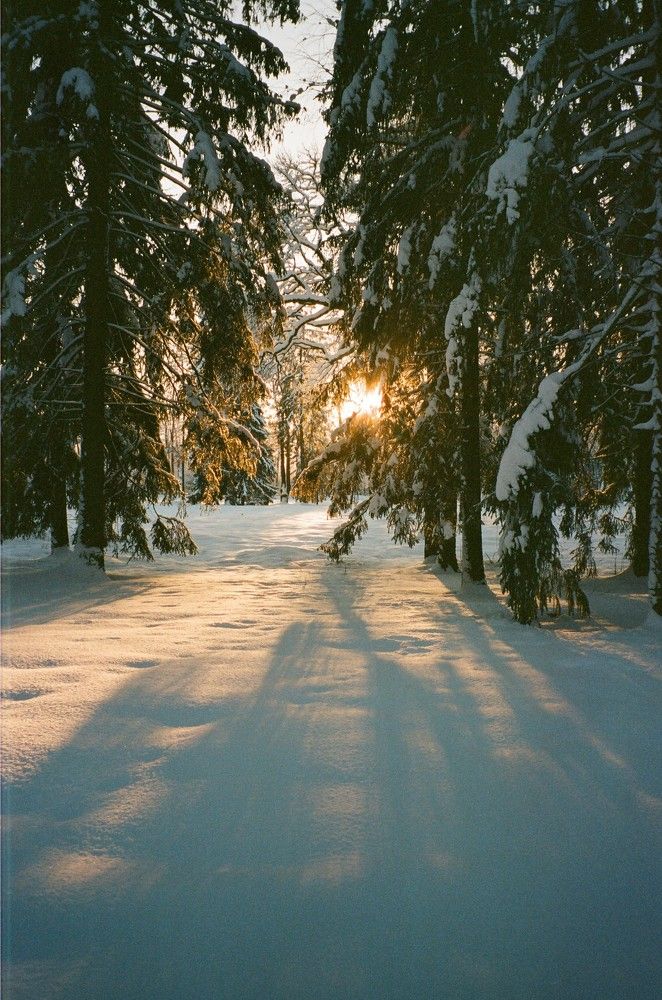 Photograph by Василий Селиванов