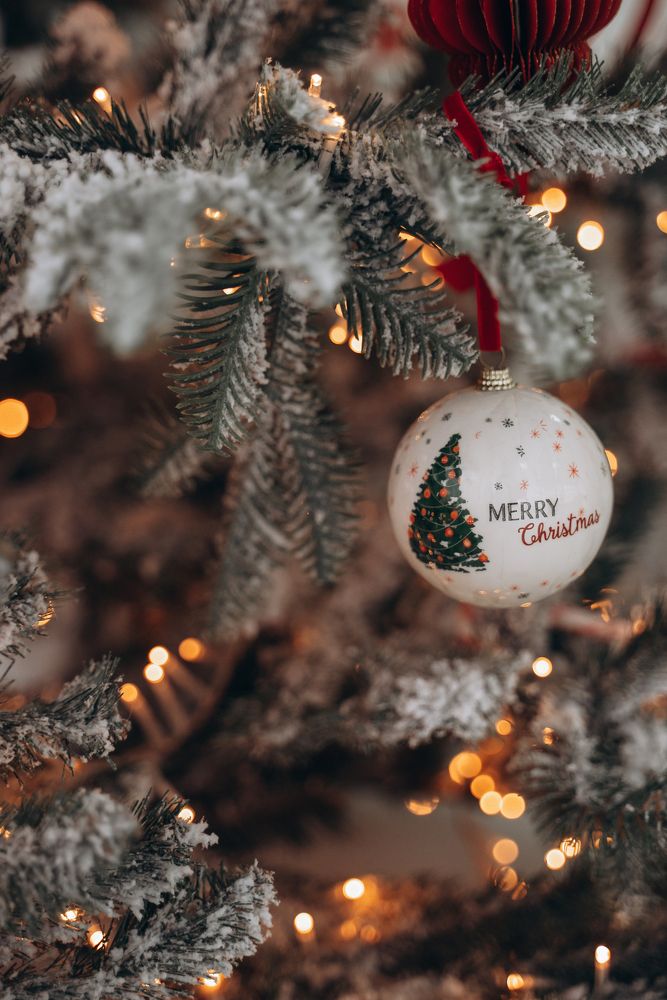 Фотография автора Дарья Дреко