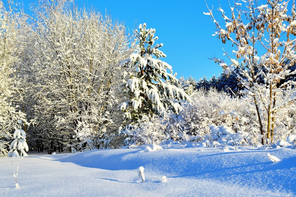 Photograph by Николай Абакумов