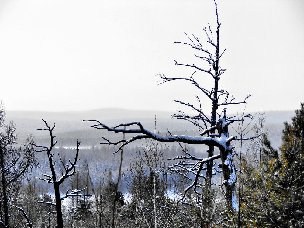 Photograph by Денис Якимов