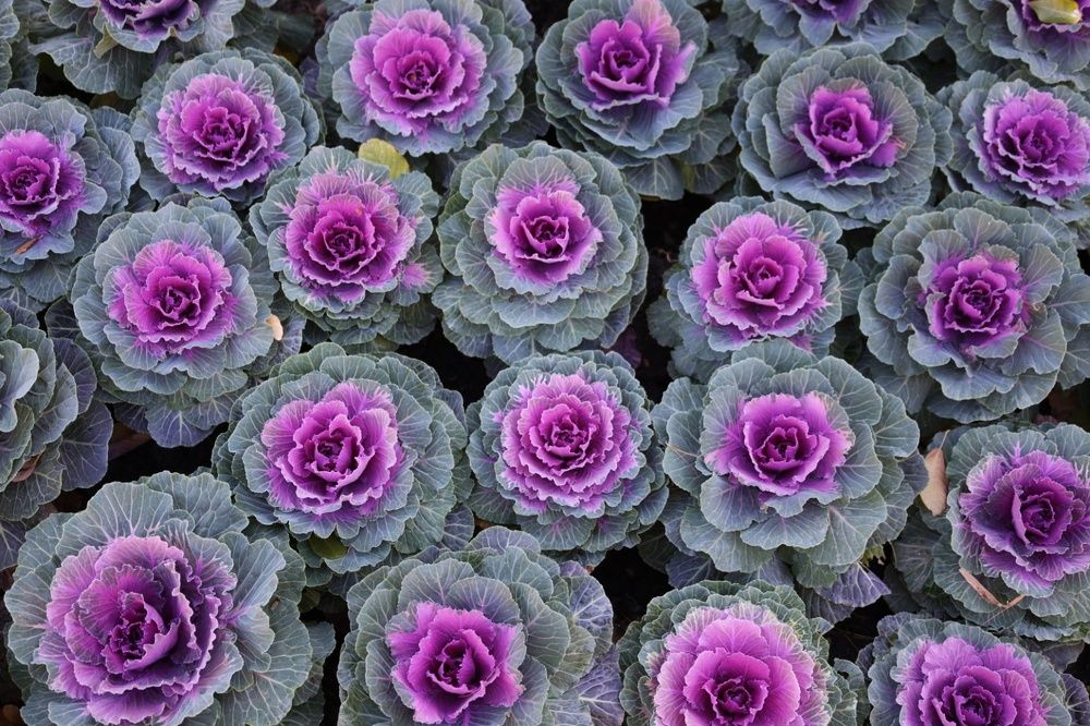 Photograph by Catalin Grădinaru