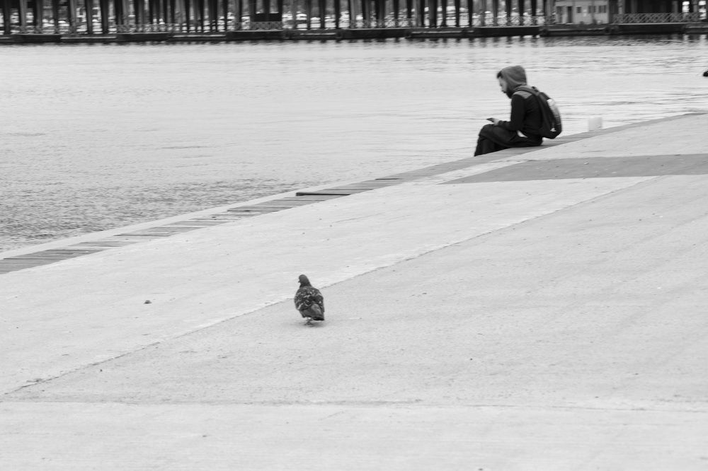 Photograph by Елена Можар