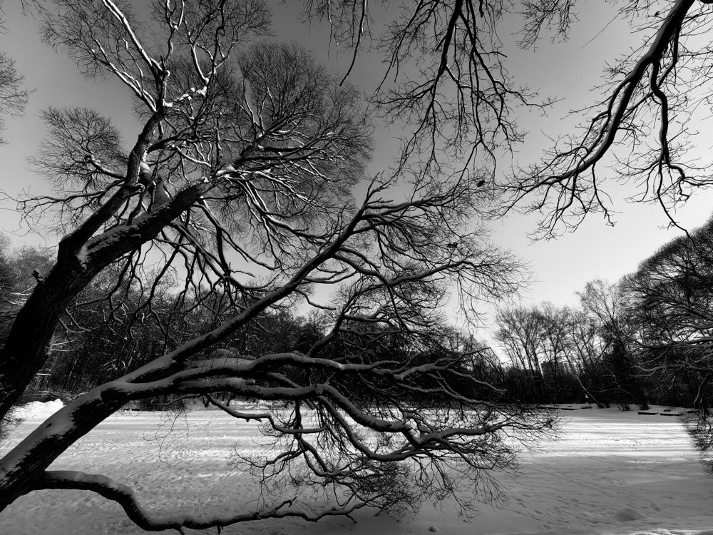 Photograph by Роман Алябьев