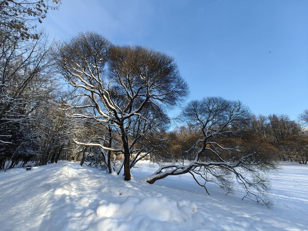 Photograph by Роман Алябьев