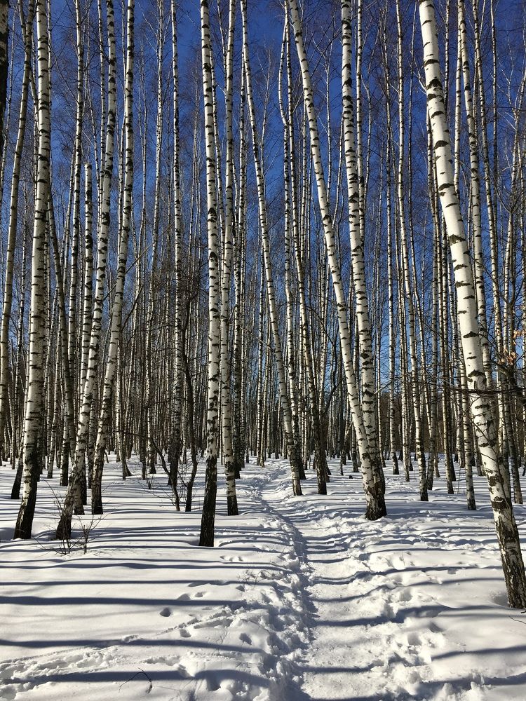 Photograph by Ирина