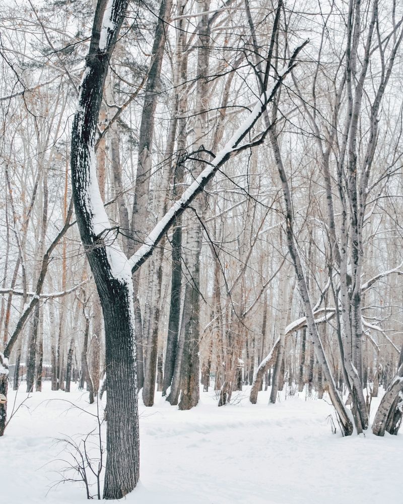 Photograph by Irina Kolotova