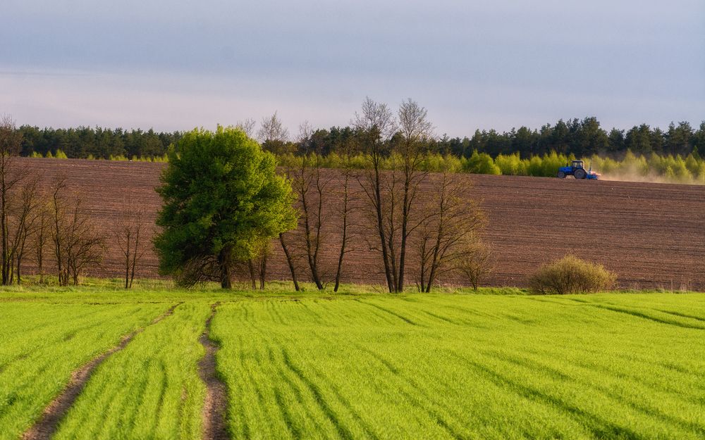 Фотография автора Сергей Дишук