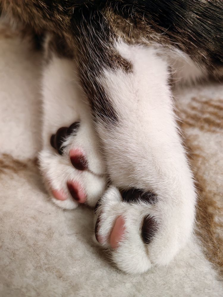 Photograph by Роман Алябьев