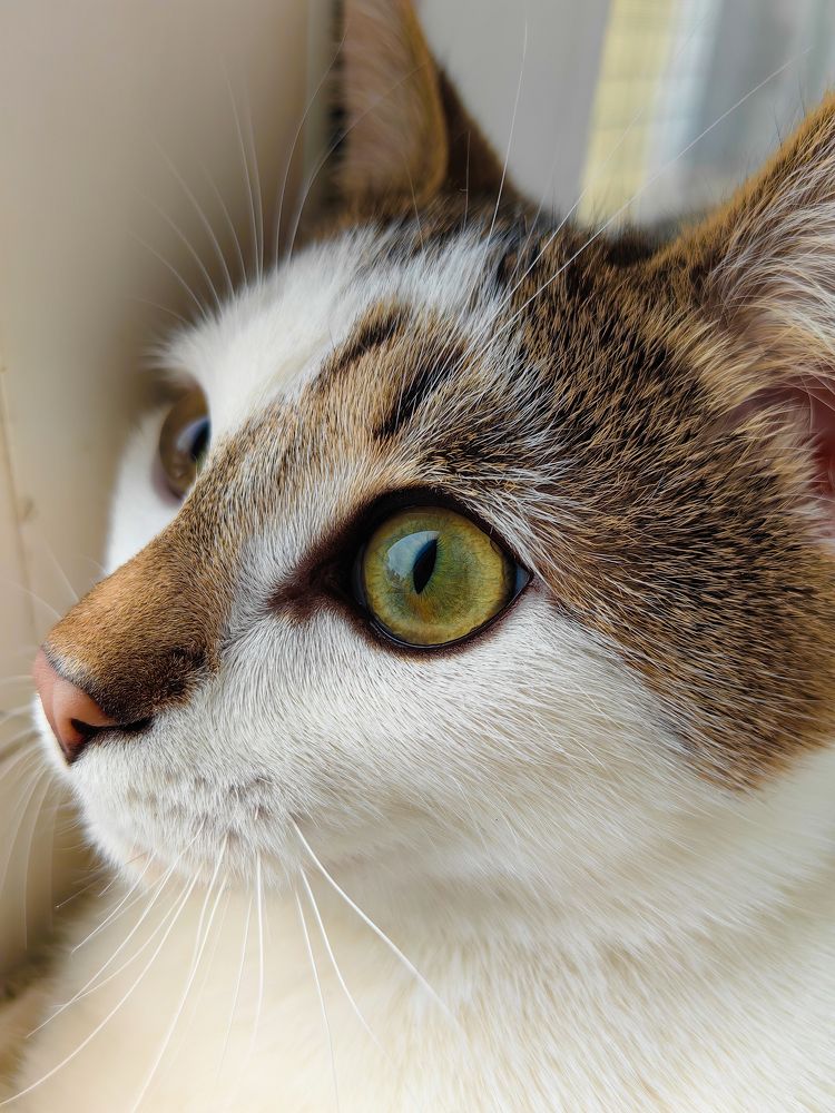 Photograph by Роман Алябьев