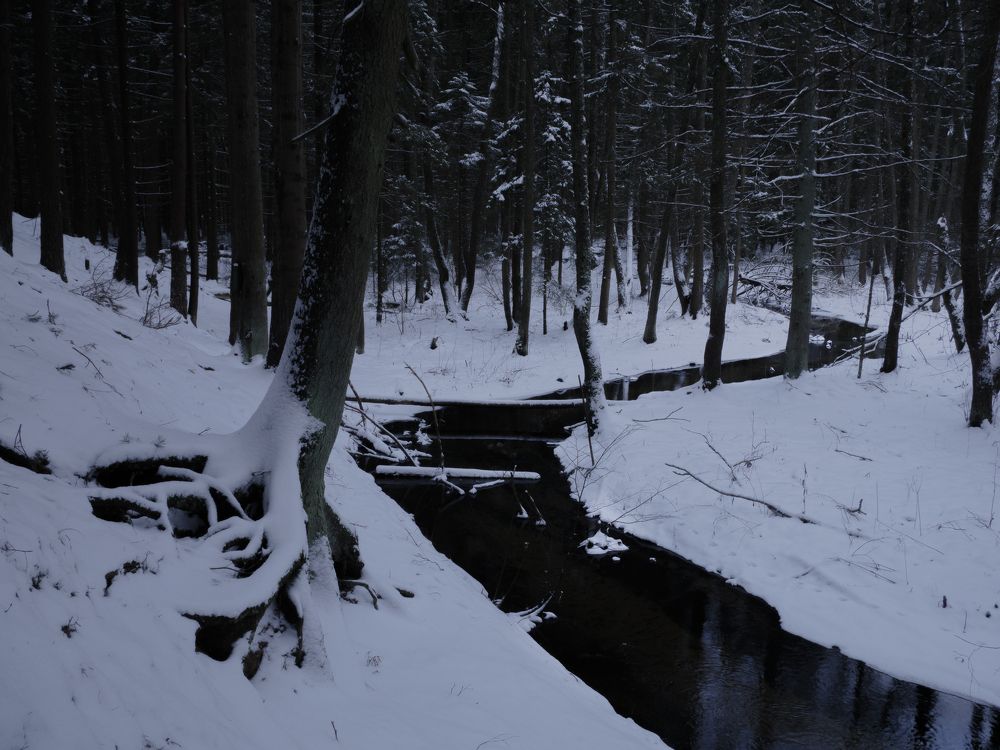 Фотография автора Андрей Врубель