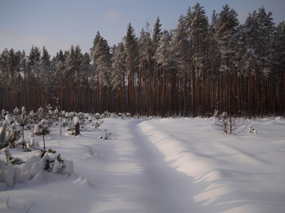 Фотография автора Андрей Врубель