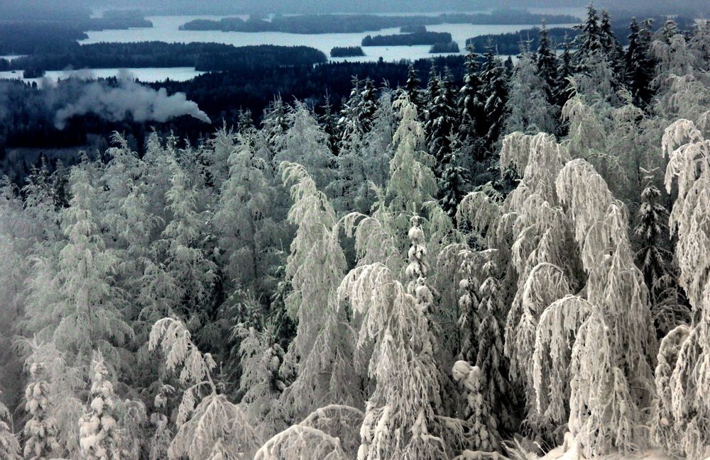 Photograph by Лада Денисова