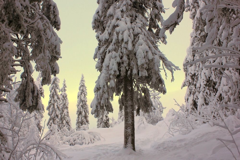 Photograph by Лада Денисова