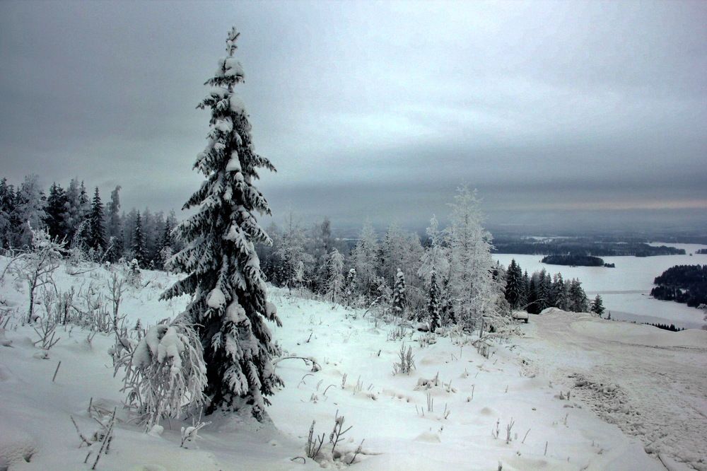 Photograph by Лада Денисова