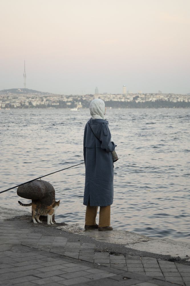 Photograph by Елена Можар