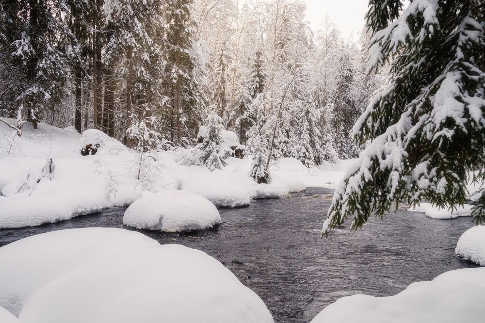 Photograph by Алена Устинович