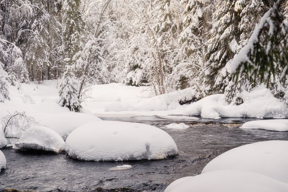 Photograph by Алена Устинович