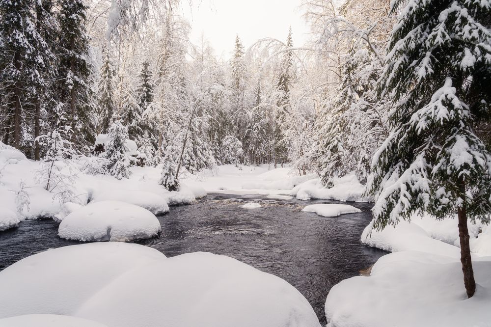 Photograph by Алена Устинович