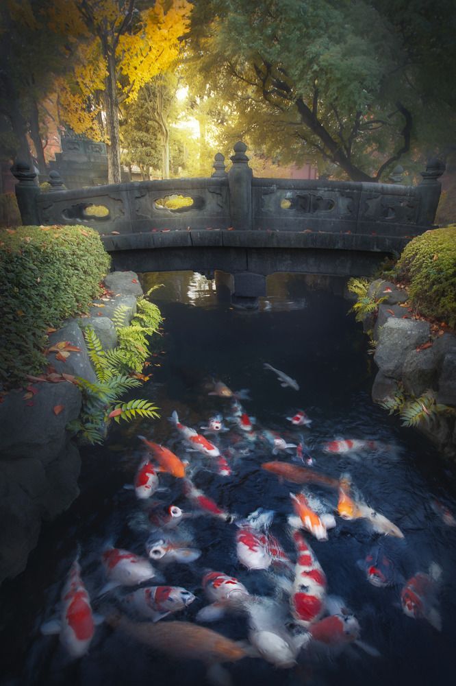 Photograph by Andrea Bartoli