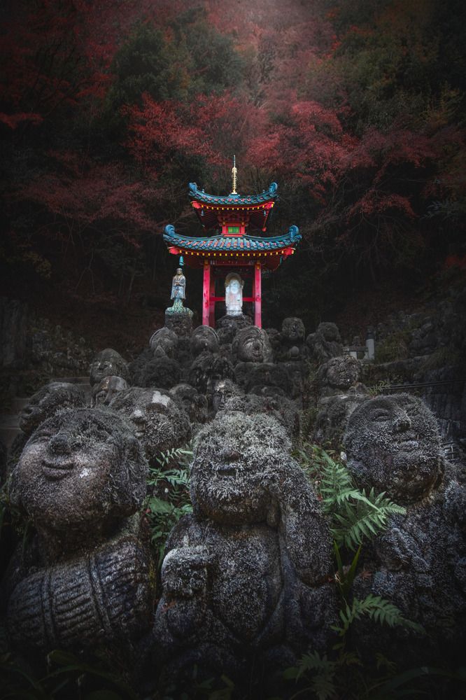 Photograph by Andrea Bartoli