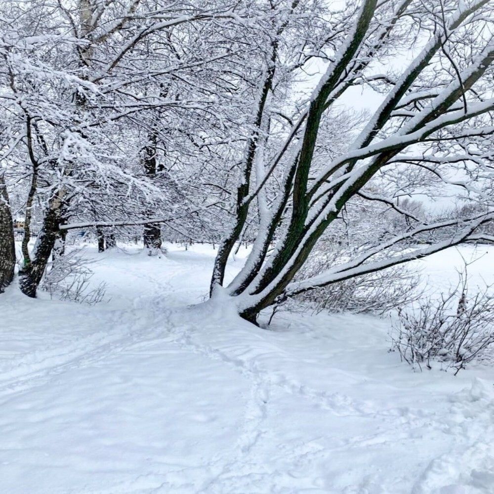 Фотография автора Илья