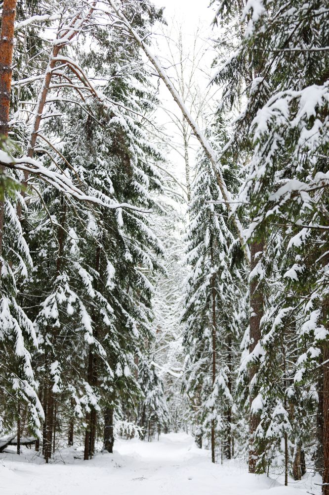 Photograph by Светлана Солдатченкова