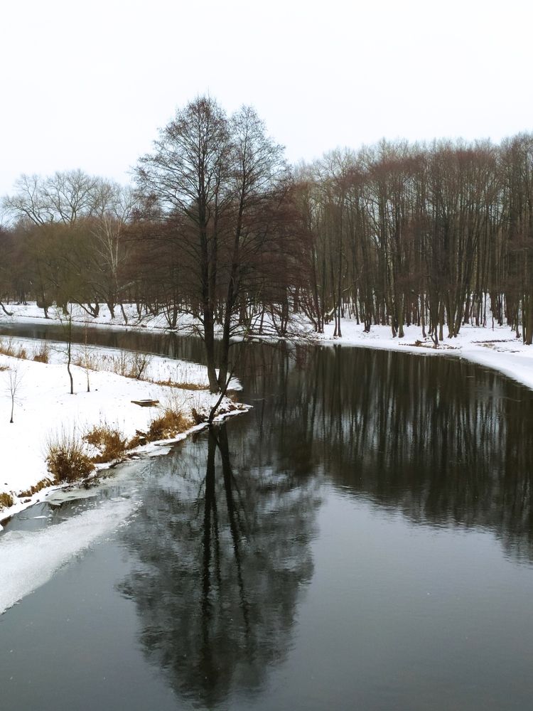 Photograph by Людмила Муравьева