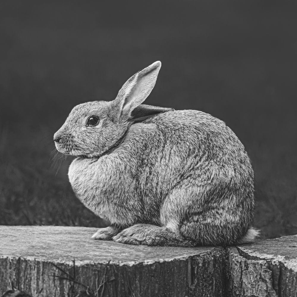 Photograph by Анжелика Титова